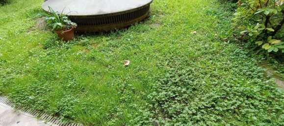 4 Schlafzimmer Wohnung in Treviso, Italy, Nr. 317381 2