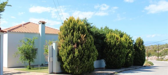 6 dormitorios villa en venta en Phthiotis, Central Greece, Thessaly and Central Greece, Greece № 6395 6