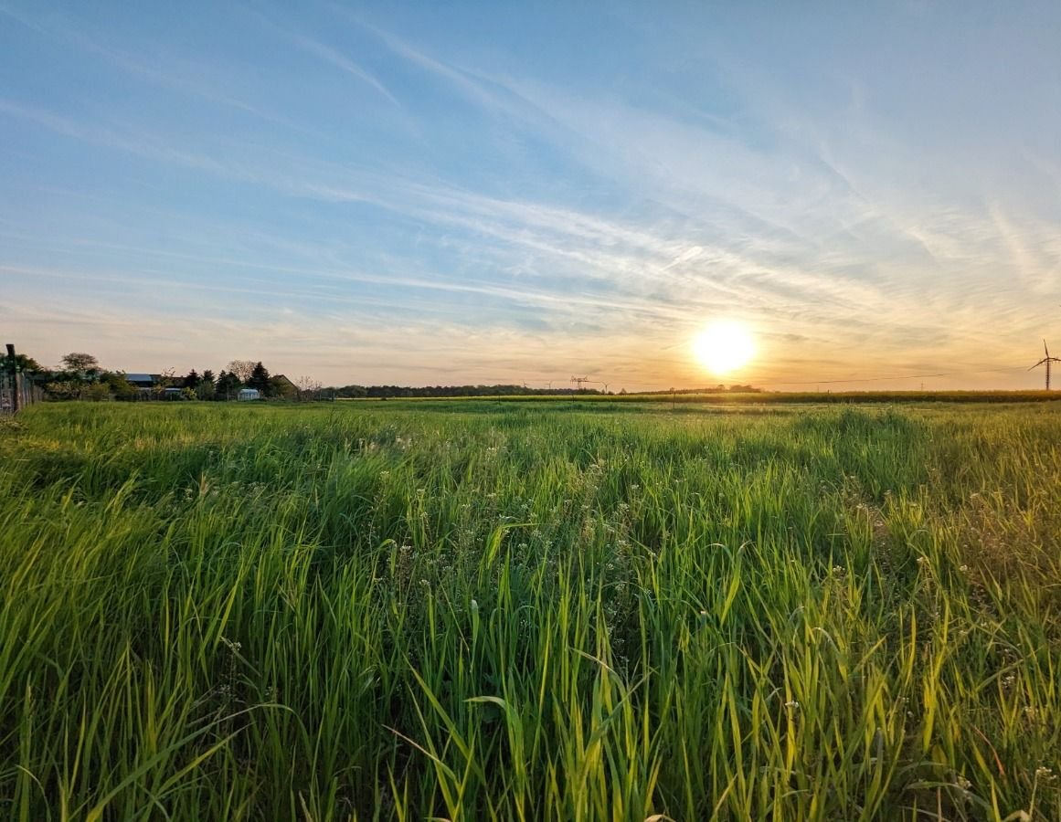 Grundstück in Barnim, Germany, Nr. 74506