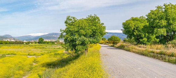 Terrain à Granada, Spain 14500m² No. 175756 7