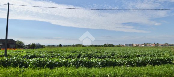 Terrain à San Donà di Piave, Italy 48543m² No. 309926 8