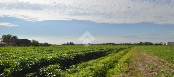 Terrain à San Donà di Piave, Italy 48543m² No. 309926 13