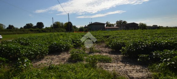 Terrain à San Donà di Piave, Italy 48543m² No. 309926 14