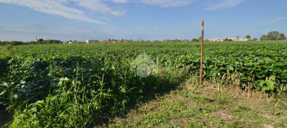 Terrain à San Donà di Piave, Italy 48543m² No. 309926 5