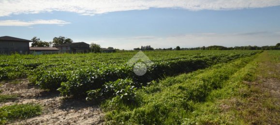 Terrain à San Donà di Piave, Italy 48543m² No. 309926 12