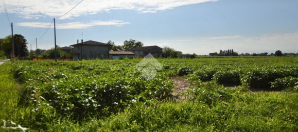 Terrain à San Donà di Piave, Italy 48543m² No. 309926 10