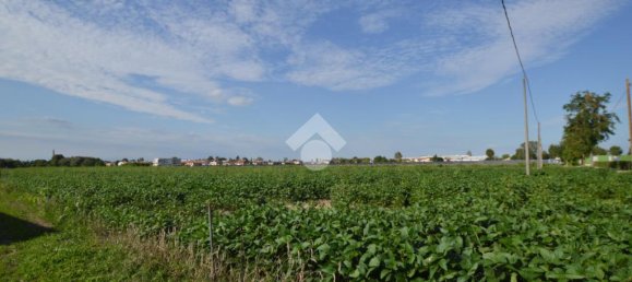 Terrain à San Donà di Piave, Italy 48543m² No. 309926 4