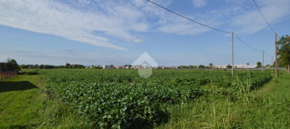 Terrain à San Donà di Piave, Italy 48543m² No. 309926 2