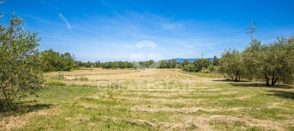 5 bedrooms Villa in Castiglione del Lago, Italy No. 288034 15