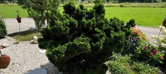 6غرفة منزل في Scharnstein, Austria رقم 230758 6