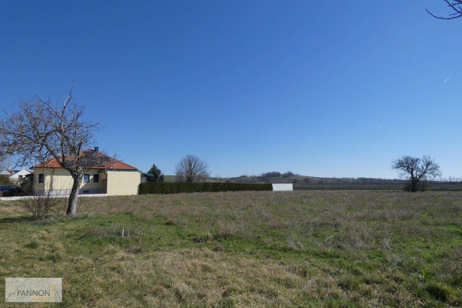 4000m² Land in Gols, Austria No. 155835