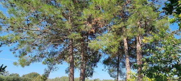 3 bedrooms Villa in Lefkimmi, Greece No. 416 11