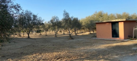 3 غرف نوم فيلا في Lefkimmi, Greece رقم 416 7