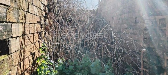 1 bedroom Castles in Ferreira do Zezere, Portugal No. 66405 5