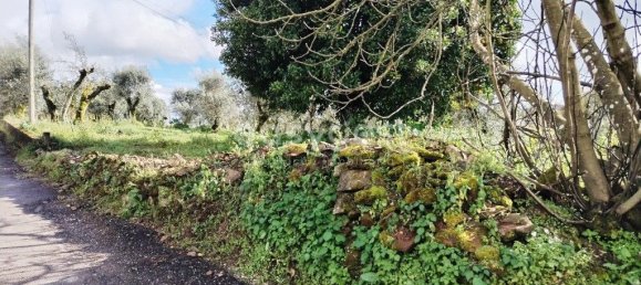 1 bedroom Castles in Ferreira do Zezere, Portugal No. 66405 2