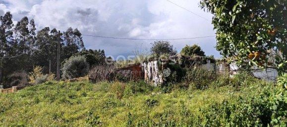 1 bedroom Castles in Ferreira do Zezere, Portugal No. 66405 13