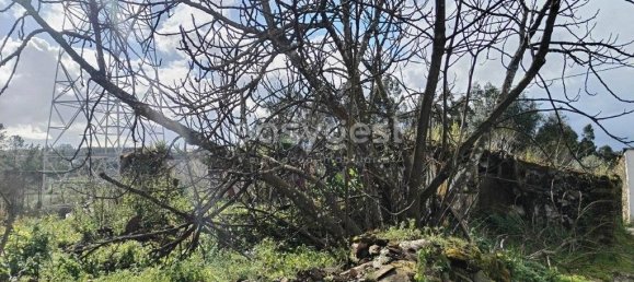 1 bedroom Castles in Ferreira do Zezere, Portugal No. 66405 11