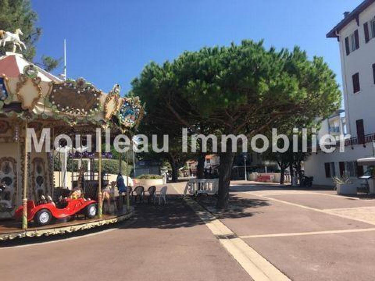 استوديو في الكوندو في Arcachon, France رقم 12813