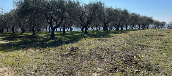 1 room Land in Arquà Petrarca, Italy No. 40120 5