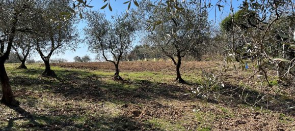 1 room Land in Arquà Petrarca, Italy No. 40120 8