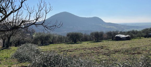 1 room Land in Arquà Petrarca, Italy No. 40120 2