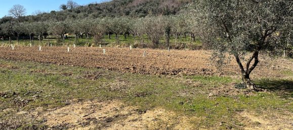 1 room Land in Arquà Petrarca, Italy No. 40120 4