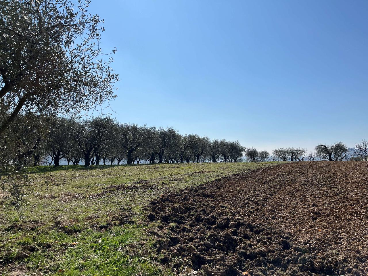 Земельный участок с 1 комнатой в Аркуа Петрарка, Италия № 40120