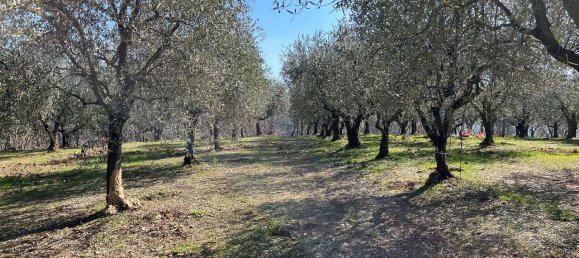1 room Land in Arquà Petrarca, Italy No. 40120 7