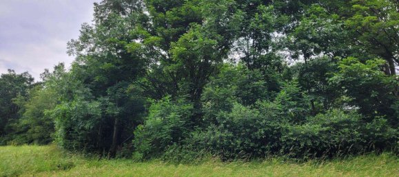 Terrain à Wunsiedel, Germany No. 3831 7