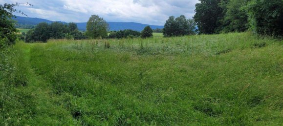 Terrain à Wunsiedel, Germany No. 3831 6