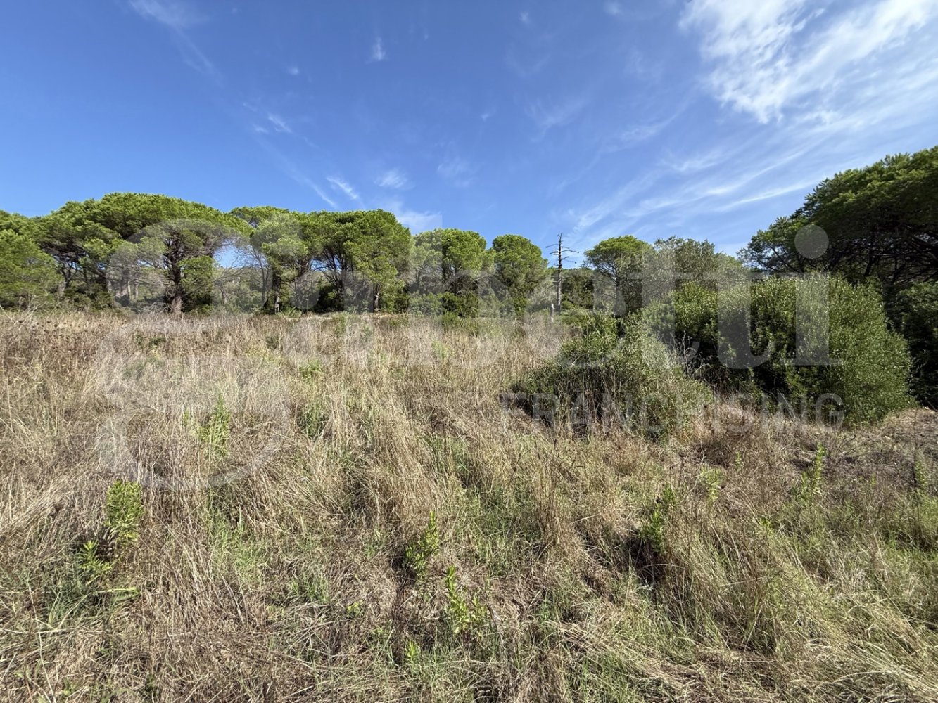 Земельный участок 140м² в Портоферрайо, Италия № 312343