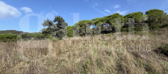 Земельный участок 140м² в Портоферрайо, Италия № 312343 6