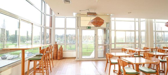 Gewerbliche Immobilie in Aveiro, Portugal 389m², Nr. 144162 17