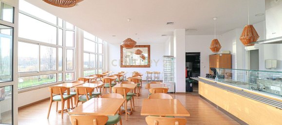 Gewerbliche Immobilie in Aveiro, Portugal 389m², Nr. 144162 18