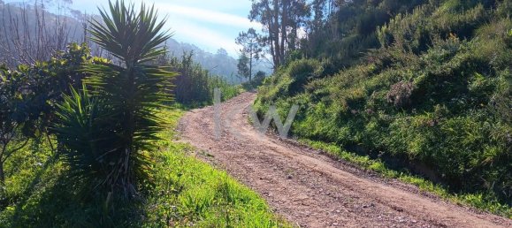 Земельный участок 1750м² в Мафра, Португалия № 64263 9