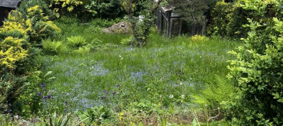 2 Schlafzimmer Haus in Ilm-Kreis, Germany, Nr. 40701 4