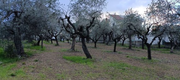 3600m² Land in Vasto, Italy No. 74457 7