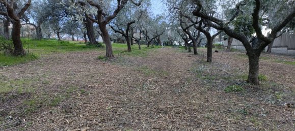 3600m² Land in Vasto, Italy No. 74457 8