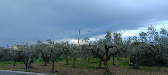 3600m² Land in Vasto, Italy No. 74457 3