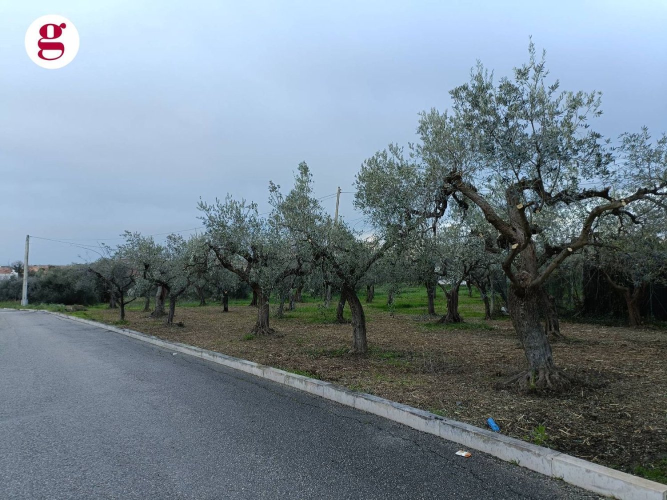 3600m² Land in Vasto, Italy No. 74457