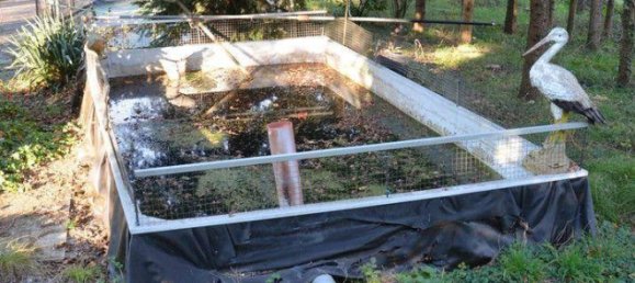 7 bedrooms House in Drassmarkt, Austria No. 150059 20