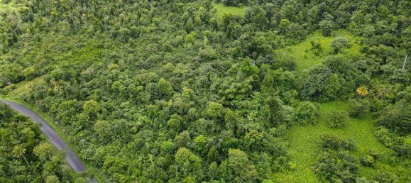 Hôtel à Saint Joseph, Dominica 26305m² No. 32 2