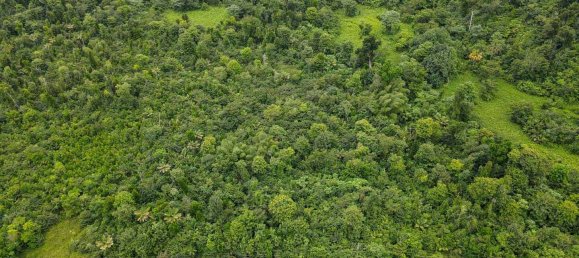 Hôtel à Saint Joseph, Dominica 26305m² No. 32 5