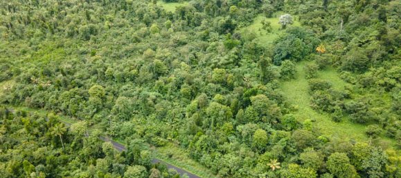 Hôtel à Saint Joseph, Dominica 26305m² No. 32 3