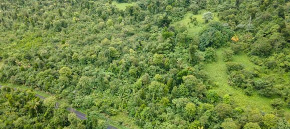 Hôtel à Saint Joseph, Dominica 26305m² No. 32 4