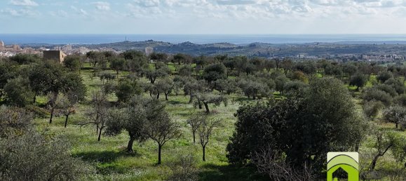 50000m² Land in Noto, Italy No. 63892 6