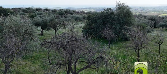 50000m² Land in Noto, Italy No. 63892 9