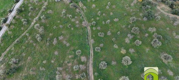 50000m² Land in Noto, Italy No. 63892 11