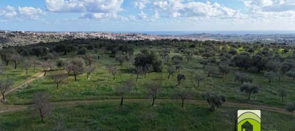 50000m² Land in Noto, Italy No. 63892 2