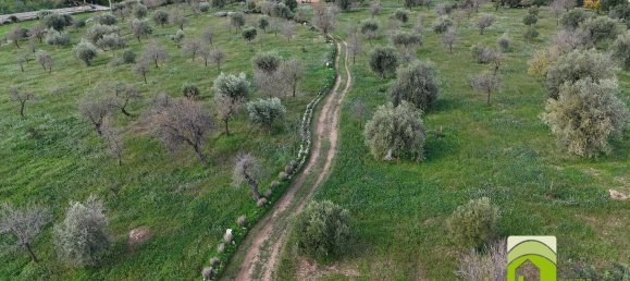 50000m² Land in Noto, Italy No. 63892 4